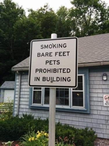 FB_IMG_1687594028182