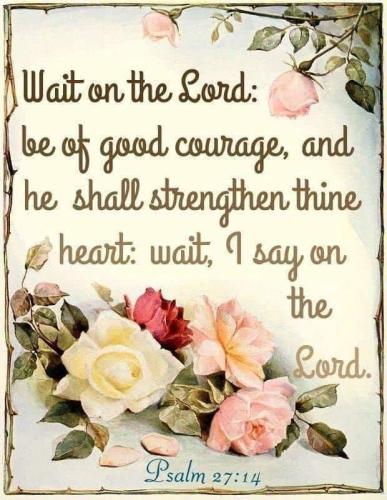 31d9ef2b-ac70-469a-b8c8-6f231a774dcf