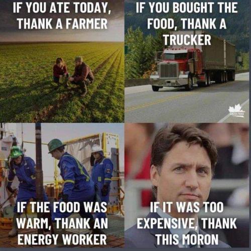 thank this moron