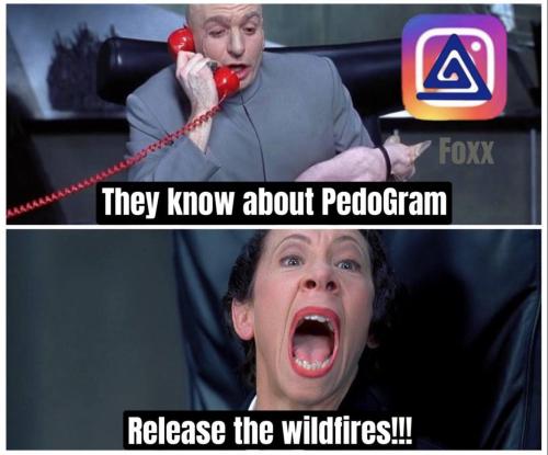 Pedo Fire 1