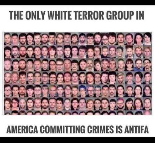 Screenshot_20230611_175304_Gallery