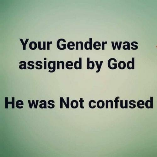 gender:God g