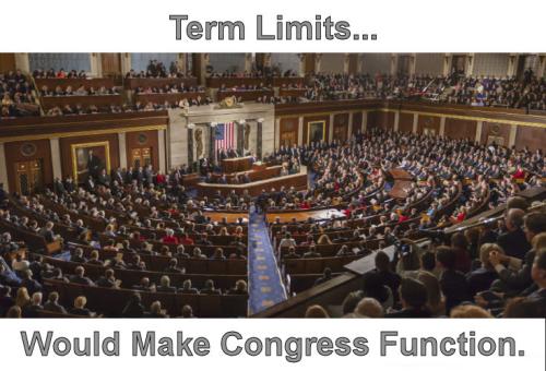 term limits15