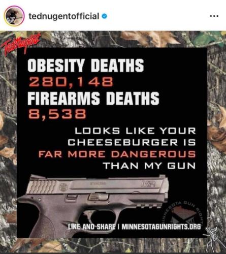 obesity_firearms_deaths