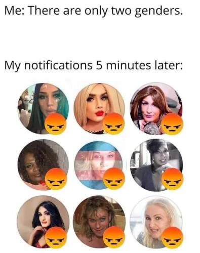 356671332_778527983979519_4852020080970567472_n