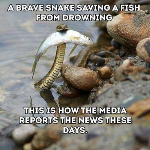 FB_IMG_1686883324230