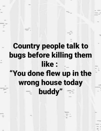 FB_IMG_1687679604112