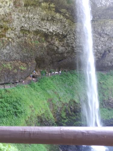 355829285_305455028497987_3075717734074222708_n