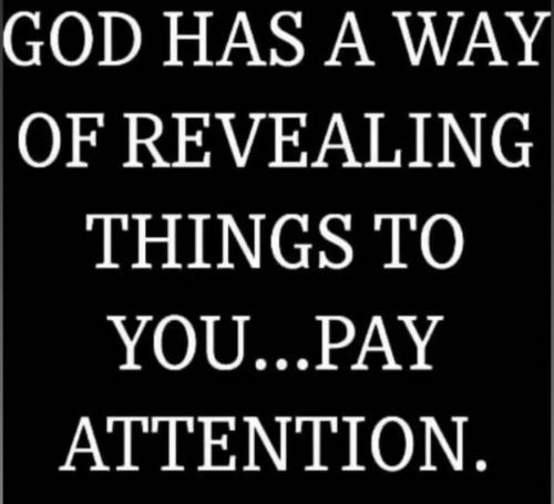 photo_2023-06-15_08-53-11