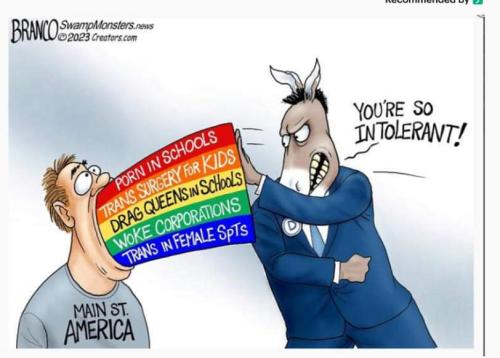 FB_IMG_1686084365333