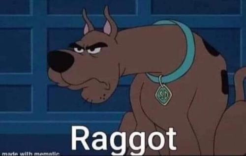 FB_IMG_1686752777550