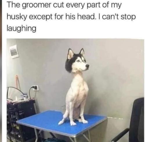 FB_IMG_1686753867040