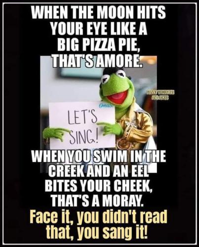 FB_IMG_1687775582049