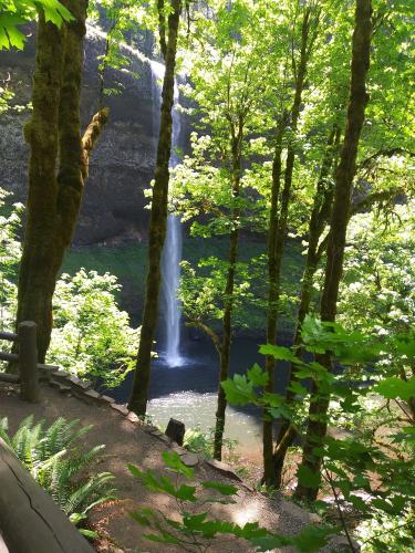 353635072_305454985164658_675274138006353609_n