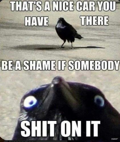 FB_IMG_1685980544518