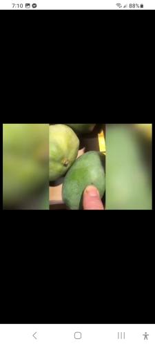 Screenshot_20230615_071053_Messenger