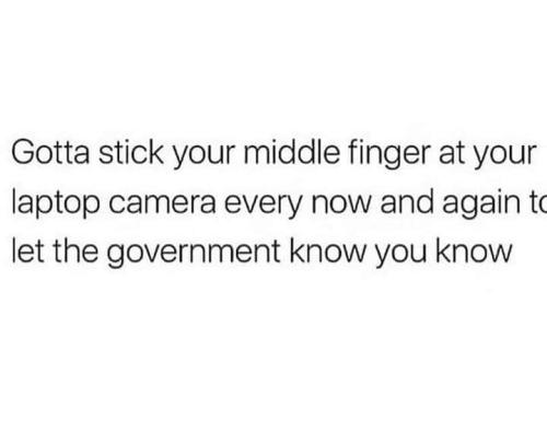Gov 1