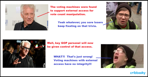 voting_machine_opinion_flip