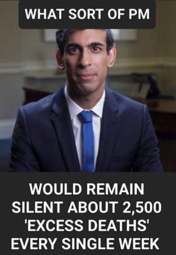 IMG_20230610_130435_039