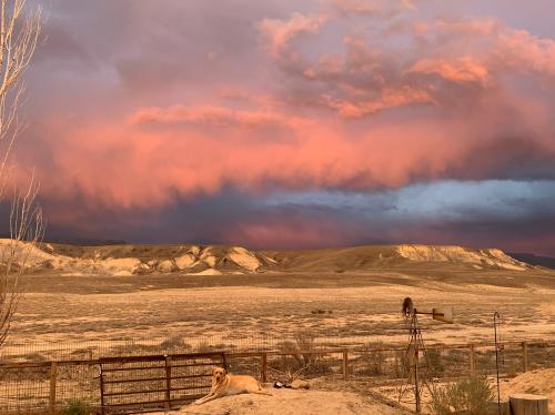 279A8ED6-AF37-4994-8044-97672EED36DB