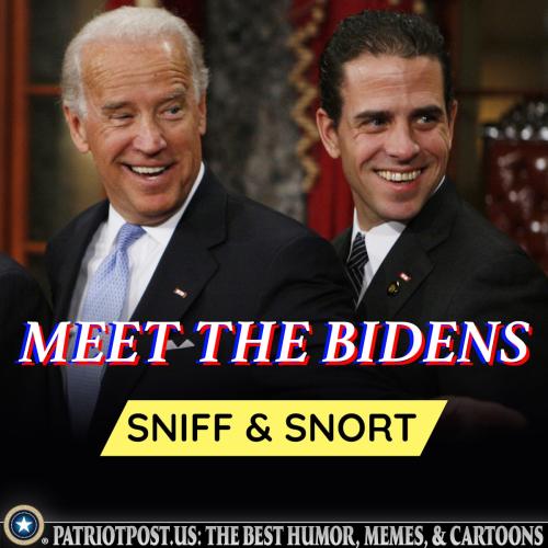 meet the bidens