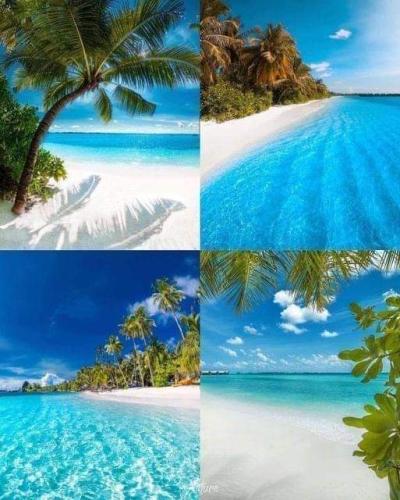 FB_IMG_1686794347870