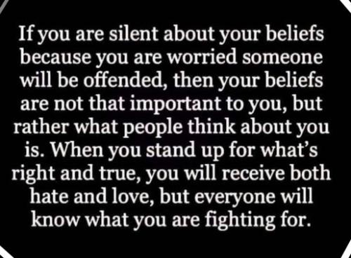 300835777_448131354002513_150617351326522988_n