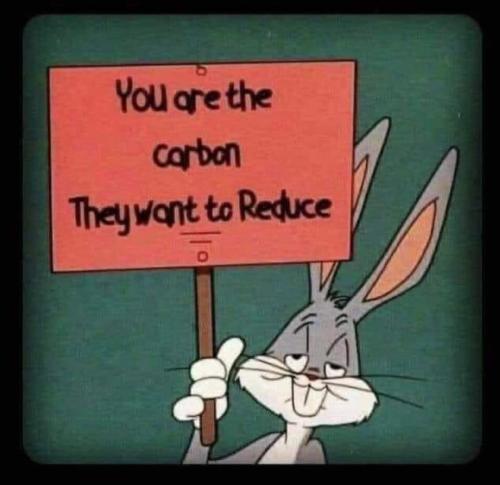 FB_IMG_1673804092230