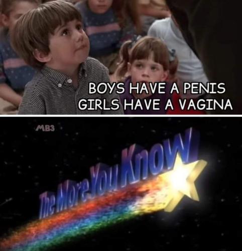 FB_IMG_1686432655347