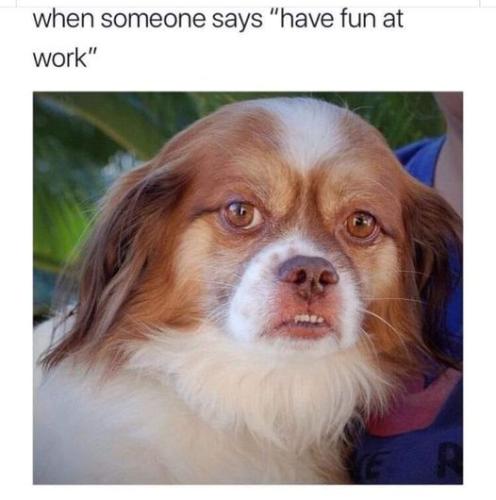 354978671_10160659095735419_2759002200020199784_n