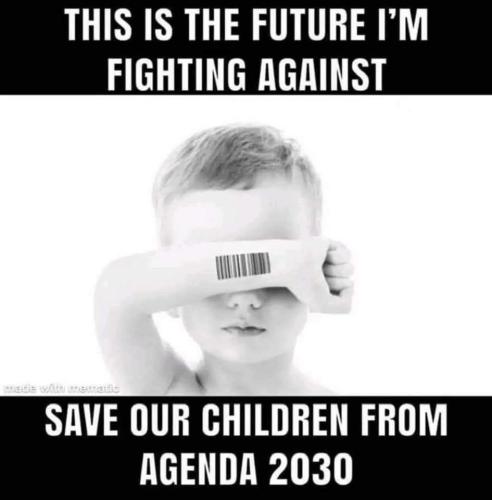 FB_IMG_1685846867128