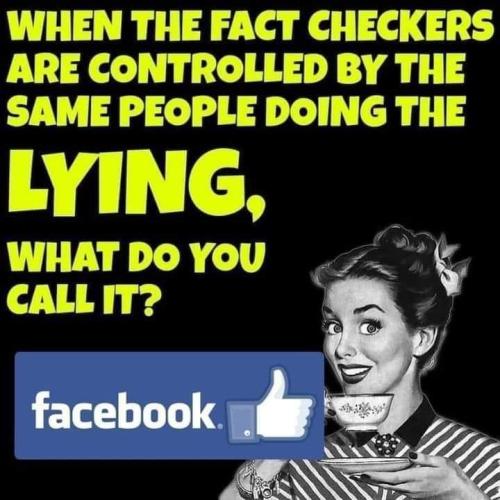 when the fact checkers