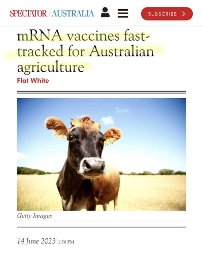 IMG_20230615_000414_298