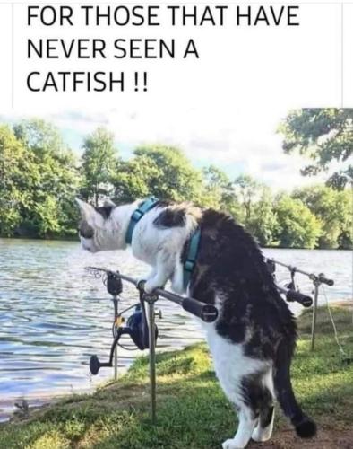 FB_IMG_1688081790310