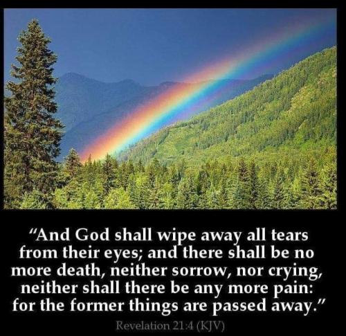 fee486f9-e004-4876-a4e2-fa29721f09eb