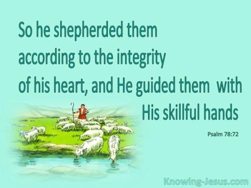 Psalm 78-72 He Shepherded Them in Integrity aqua
