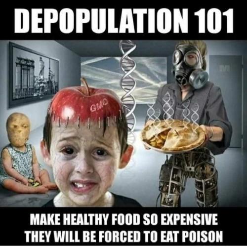 FB_IMG_1687042446622