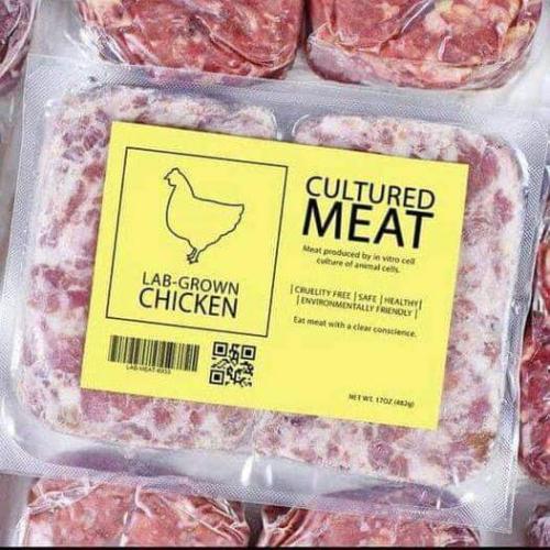 cultured meat