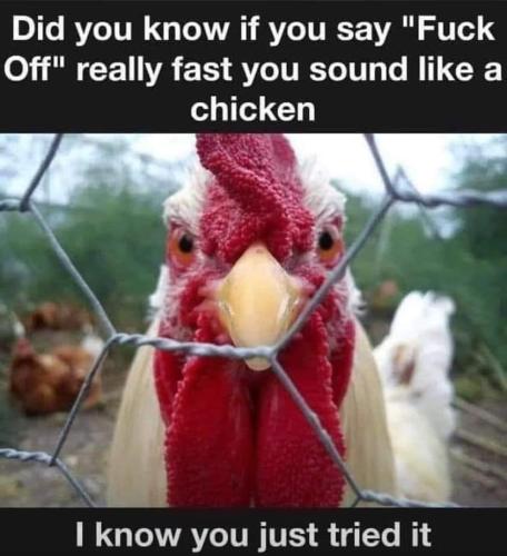 FB_IMG_1685717227539