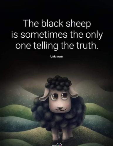 FB_IMG_1686928454152