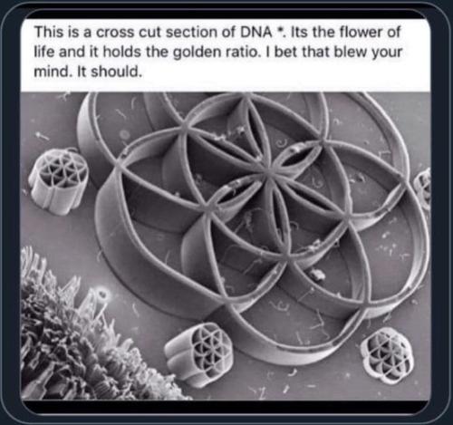 351537192_24333569668