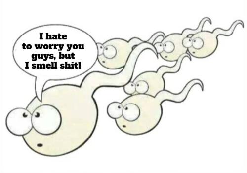 Gay sperm I smell shit