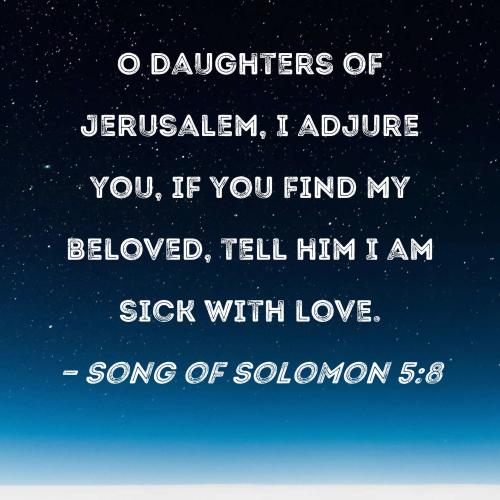 Song of Solomon 5_8