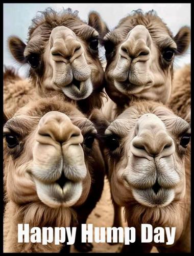 tumblr_204f7ce8309acdf376e4c180e6ec42ef_c22f1adb_1280