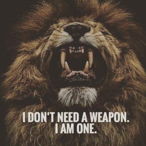 IMG_20230615_044910_137