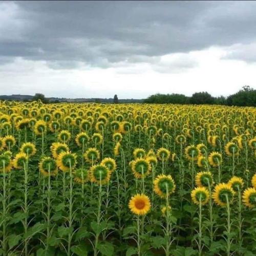 3a3f00d4-cf86-4be0-8627-f72df3c72b4f