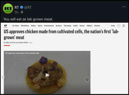 Meat 1