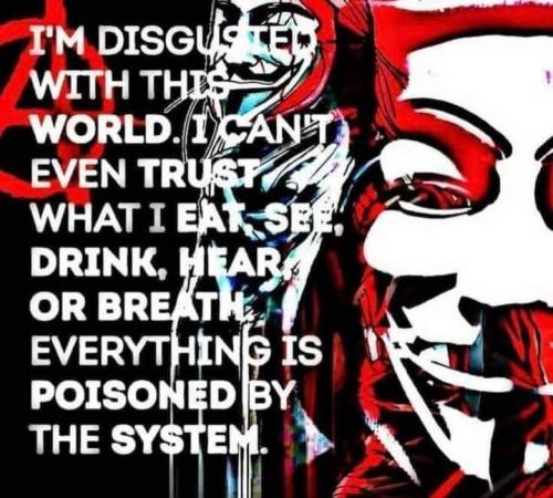 1685653578.1553478