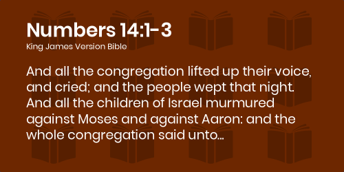 Numbers 14_1-3