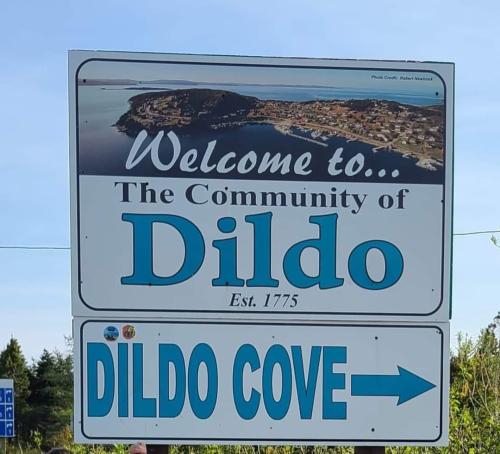 FB_IMG_1687534053639